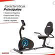 Bicicleta Magnetica Randers ARG-2534 Con Respaldo 8 Niveles Hasta 100Kg