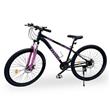 Bicicleta Randers BKE-2129-SR R29 21 Velocidades Aluminio Negro con Rosa