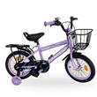 Bicicleta Randers BKE-141-B Infantil R14 Violeta