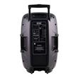 Parlante Harrison SP-KJA1110D Acid Max 2 Usb Cr Radio Fm