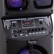 Parlante Harrison SP-KJA890H Temuki Bluetooth Usb