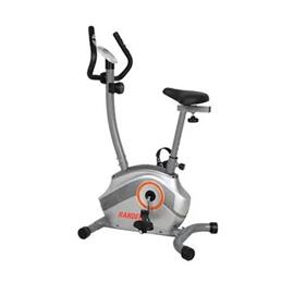 Bicicleta Randers ARG-131 Magnetica 8 Niveles Hasta 100KG