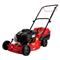 Cortadora de Pasto Petri 3004001 Max Americano 450 ByS Naftera