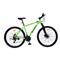 Bicicleta Php YS-8099 Talle M Mtb29 21 Velocidades Verde Aluminio